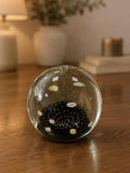 Caithness  Glass Paperweight