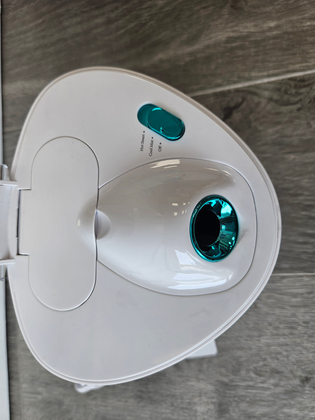 Piire Face Steamer
