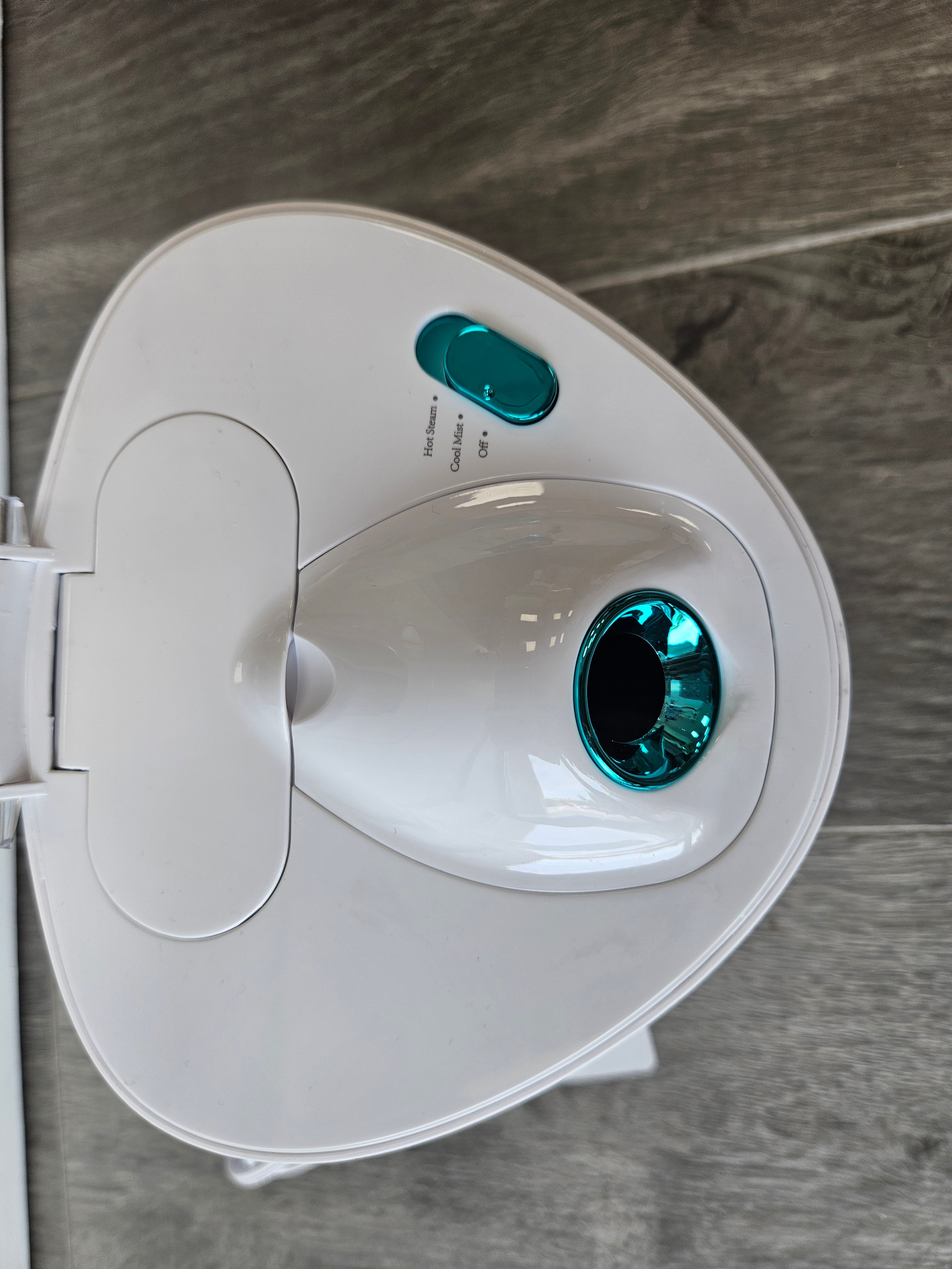 Piire Face Steamer