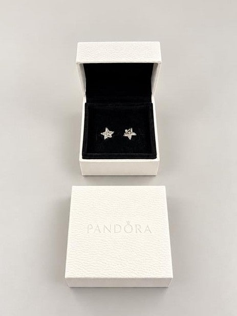 Silver Pandora  Earrings