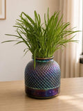 Iridescent   Decorative iridescent glass vase