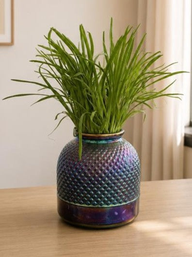 Iridescent   Decorative iridescent glass vase