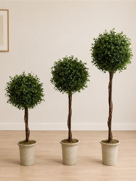 Topiary Trees